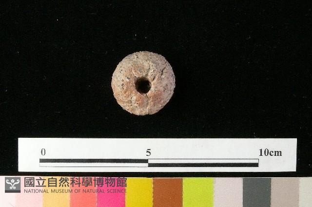 紡輪藏品圖，第2張