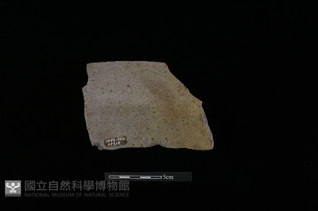 陶罐藏品圖，第1張
