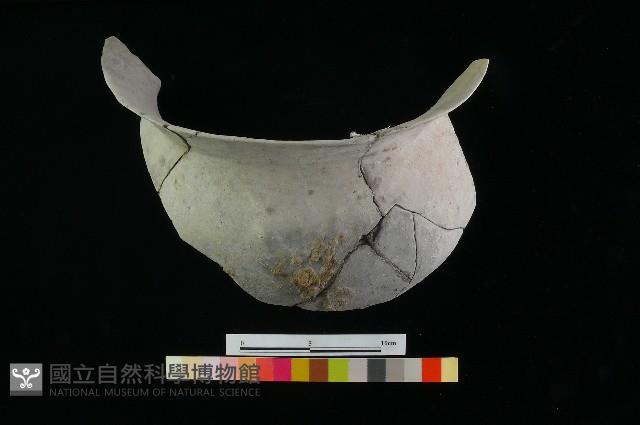 陶罐藏品圖，第3張