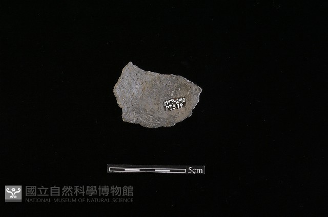 陶片藏品圖，第1張