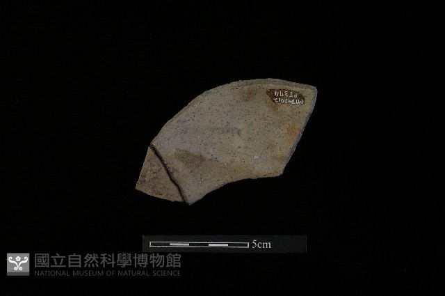 陶片藏品圖，第2張
