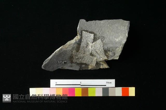 陶罐藏品圖，第1張