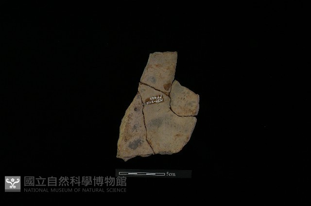 陶片藏品圖，第1張