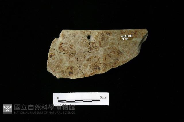 石刀藏品圖，第3張