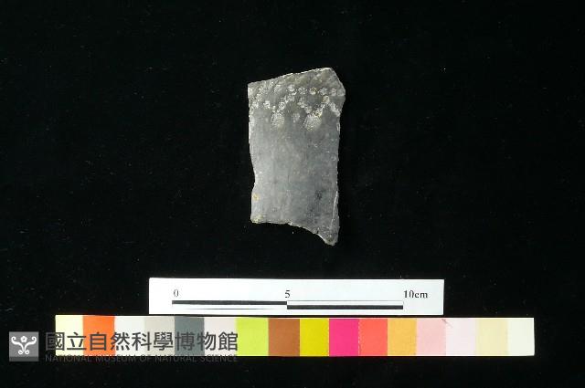 Accession Number:MTP-2012-PT252 Collection Image, Figure 2, Total 3 Figures