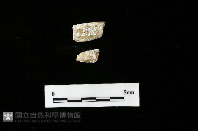 錛鑿形器藏品圖，第1張
