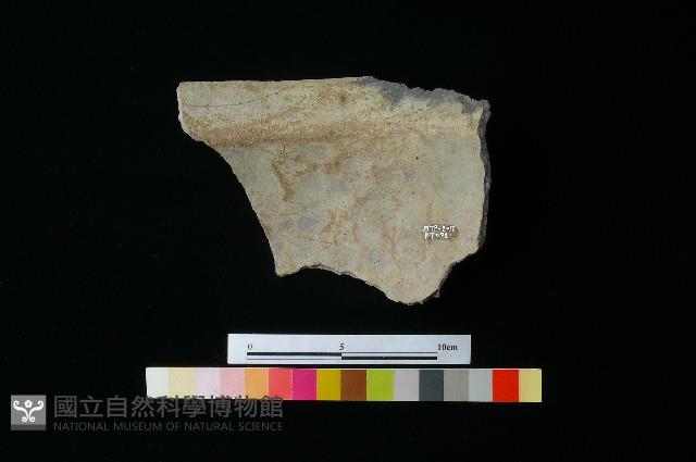 陶罐藏品圖，第1張