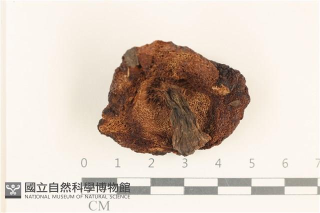登錄號:F0037288藏品圖，第3張