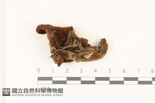 登錄號:F0037510藏品圖，第3張