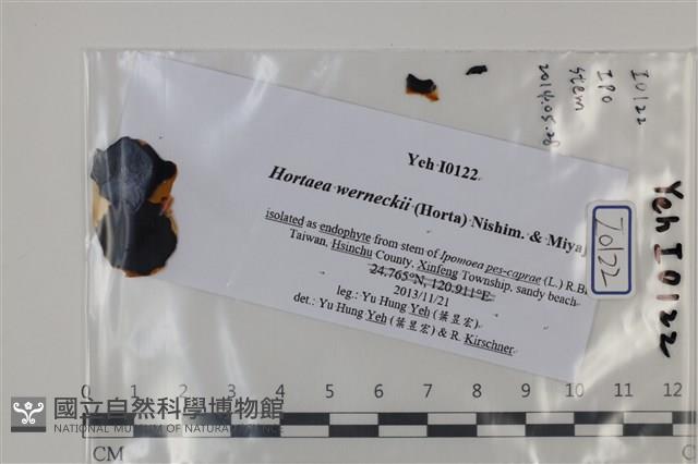 登錄號:F0035046藏品圖，第3張