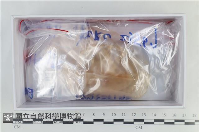 登錄號:F0038641藏品圖，第3張