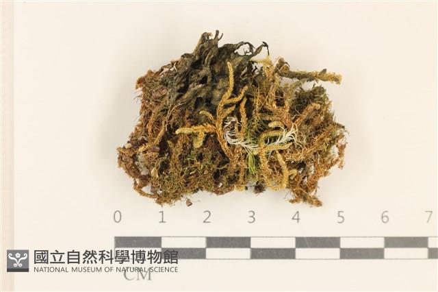 登錄號:F0037132藏品圖，第4張