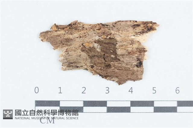 登錄號:F0038672藏品圖，第3張