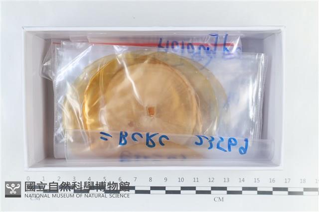 登錄號:F0038637藏品圖，第3張