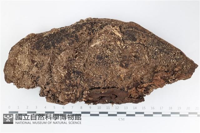 登錄號:F0036709藏品圖，第3張