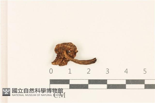 登錄號:F0018753藏品圖，第3張