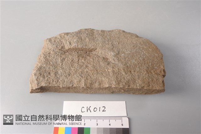 石片器藏品圖，第2張