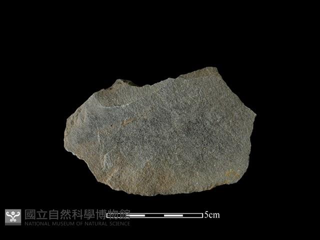 石片器藏品圖，第2張