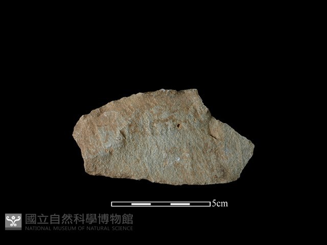 石片器藏品圖，第2張