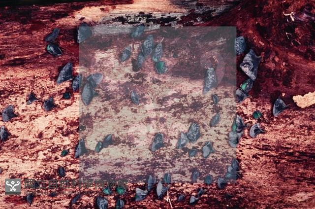 登錄號:F0004055藏品圖，第4張