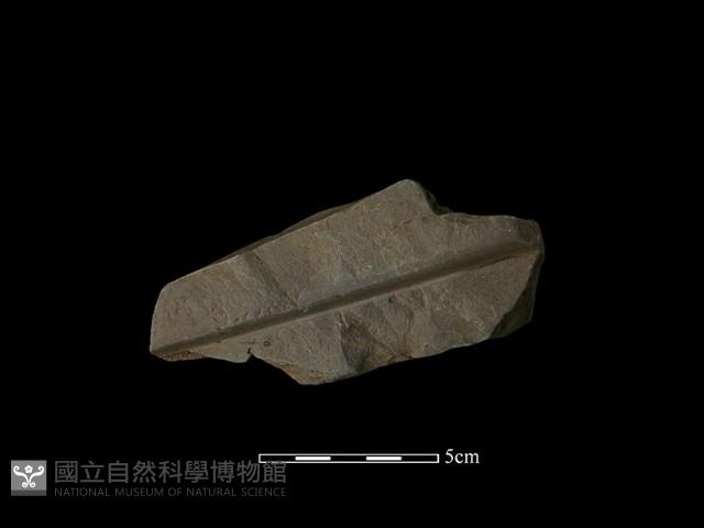 帶加工痕石材藏品圖，第1張