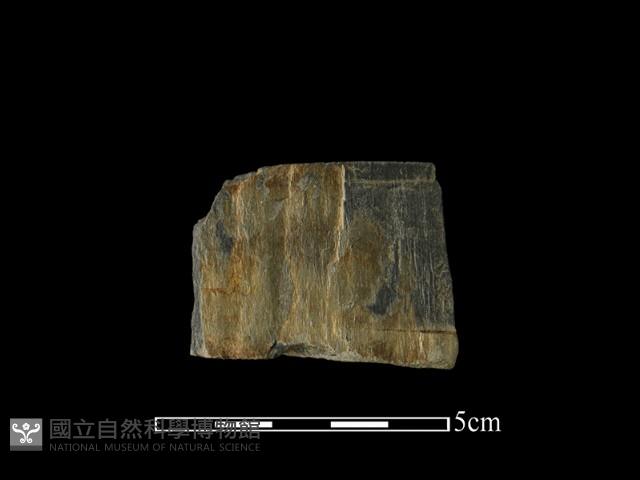 帶加工痕石材藏品圖，第2張