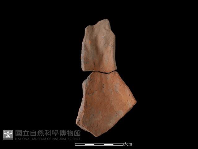 連杯形器藏品圖，第2張