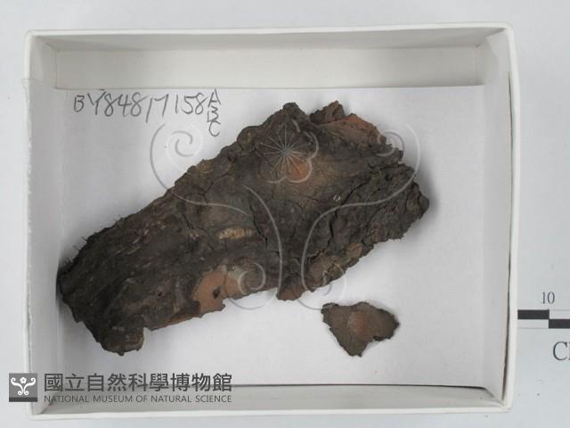 登錄號:F0018228藏品圖，第1張