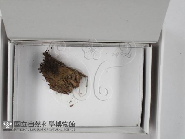 登錄號:F0018028藏品圖，第1張