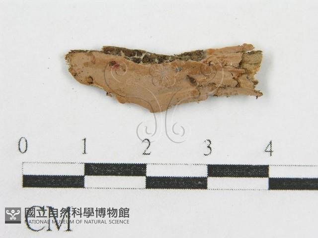 登錄號:F0004028藏品圖，第1張