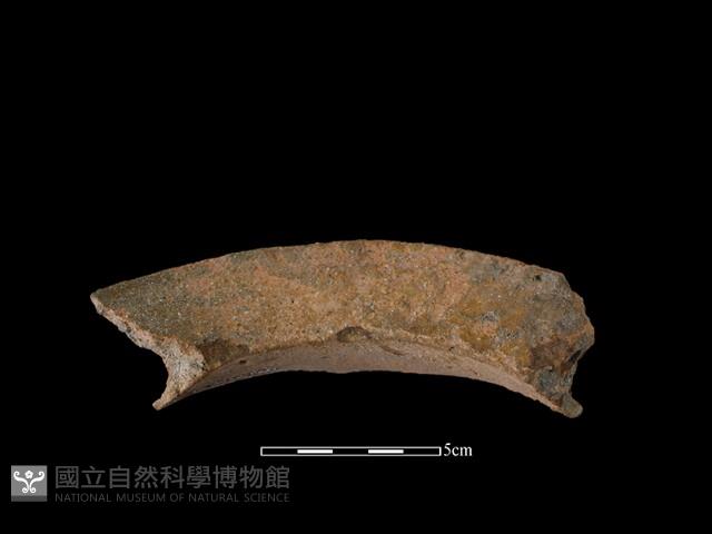 陶罐藏品圖，第2張