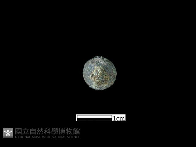 墜飾藏品圖，第1張