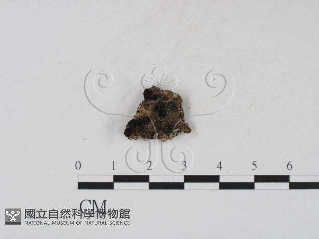 登錄號:F0008328藏品圖，第1張