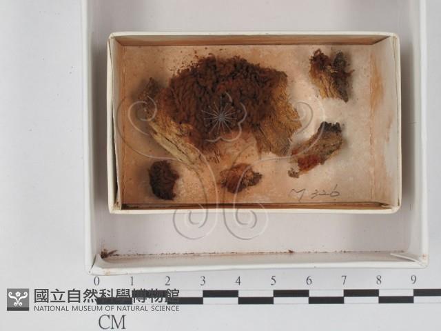 登錄號:F0018328藏品圖，第1張