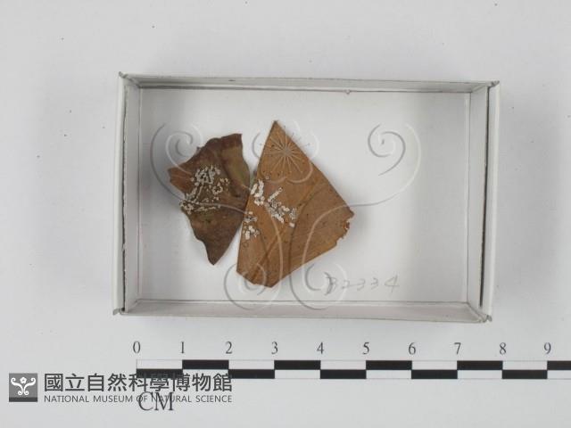 登錄號:F0018208藏品圖，第1張