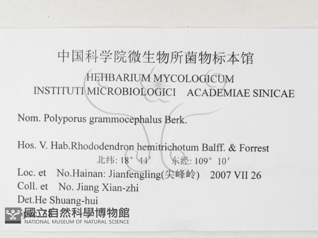 登錄號:F0026208藏品圖，第3張