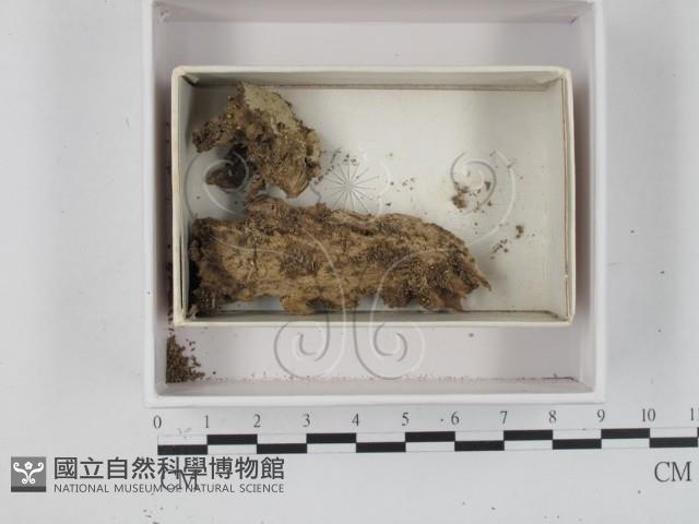 登錄號:F0021208藏品圖，第1張