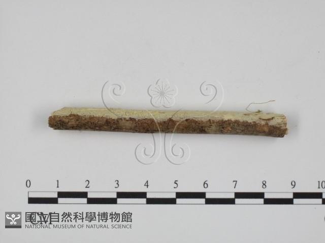 登錄號:F0001208藏品圖，第1張