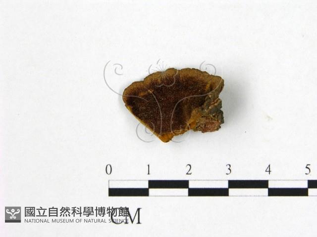 登錄號:F0007208藏品圖，第1張