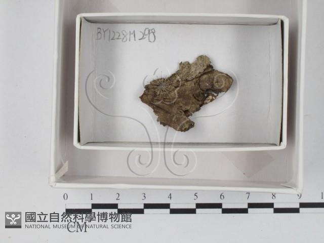 登錄號:F0018408藏品圖，第1張