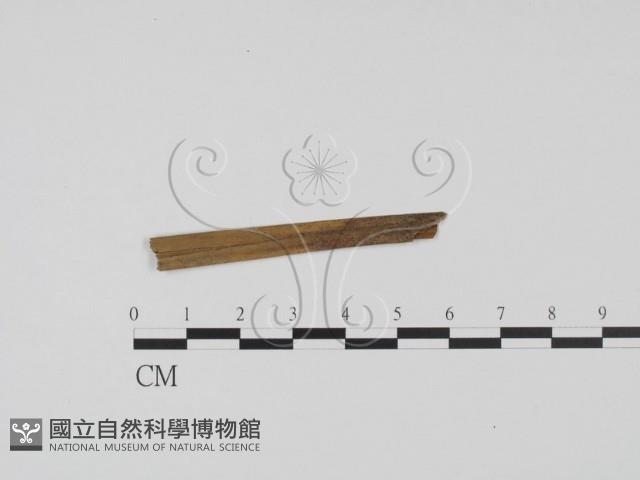 登錄號:F0011408藏品圖，第1張