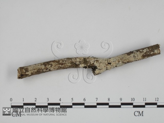 登錄號:F0002408藏品圖，第1張