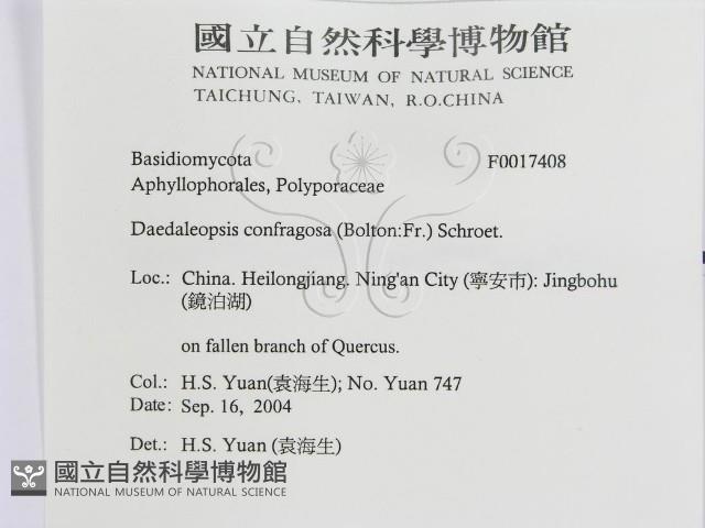 登錄號:F0017408藏品圖，第3張