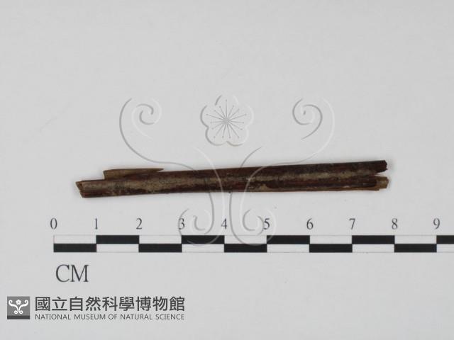 登錄號:F0005408藏品圖，第1張