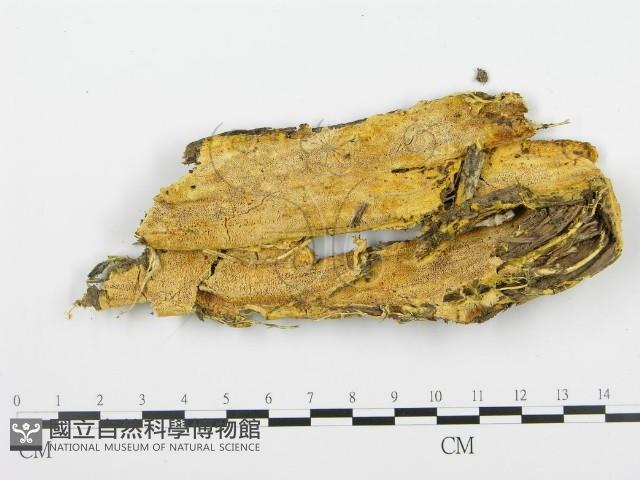 登錄號:F0009408藏品圖，第1張