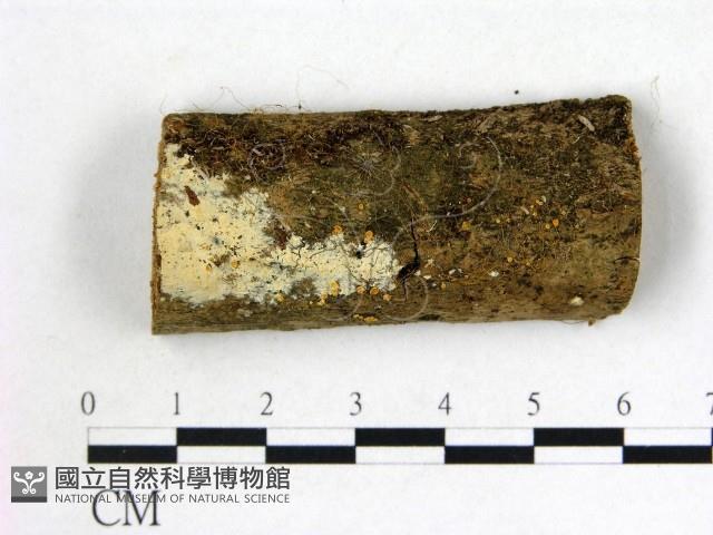 登錄號:F0004708藏品圖，第1張