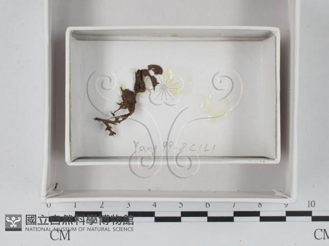 登錄號:F0018508藏品圖，第1張