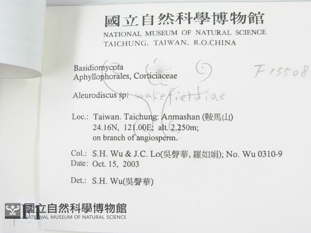 登錄號:F0015508藏品圖，第3張
