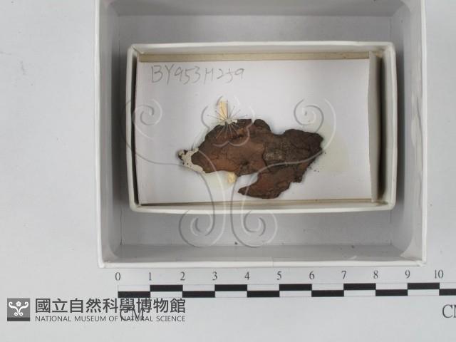 登錄號:F0018108藏品圖，第1張