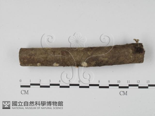 登錄號:F0002108藏品圖，第1張